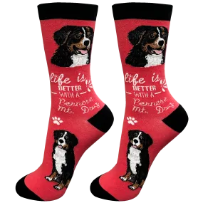 Life Is Better With A Bernese Mt. Dog Socks