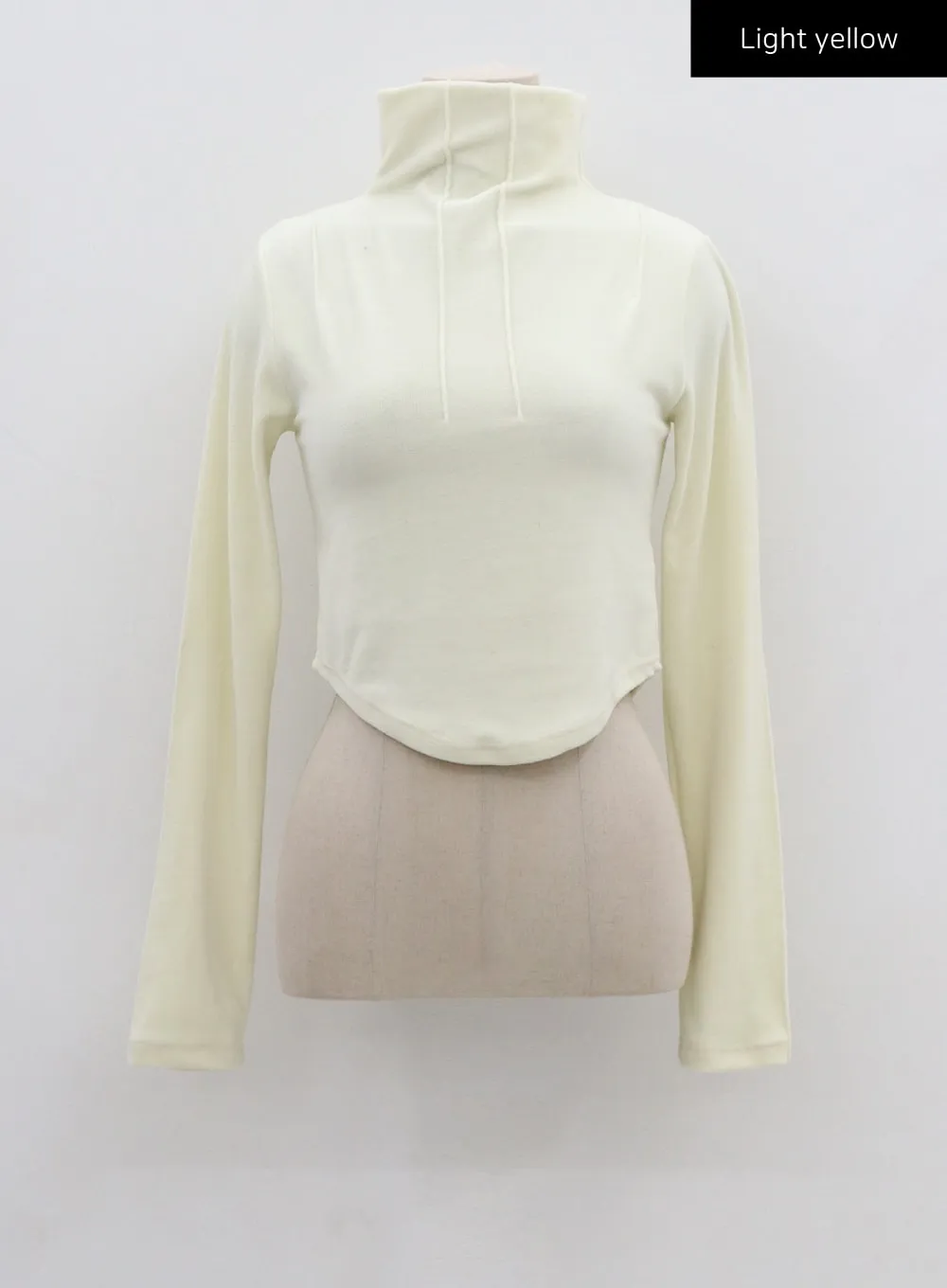 Semi Turtleneck Long Sleeves Crop Top CN17