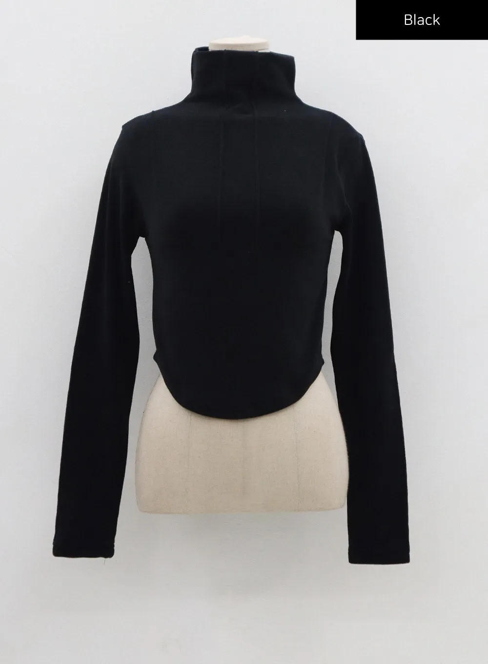 Semi Turtleneck Long Sleeves Crop Top CN17