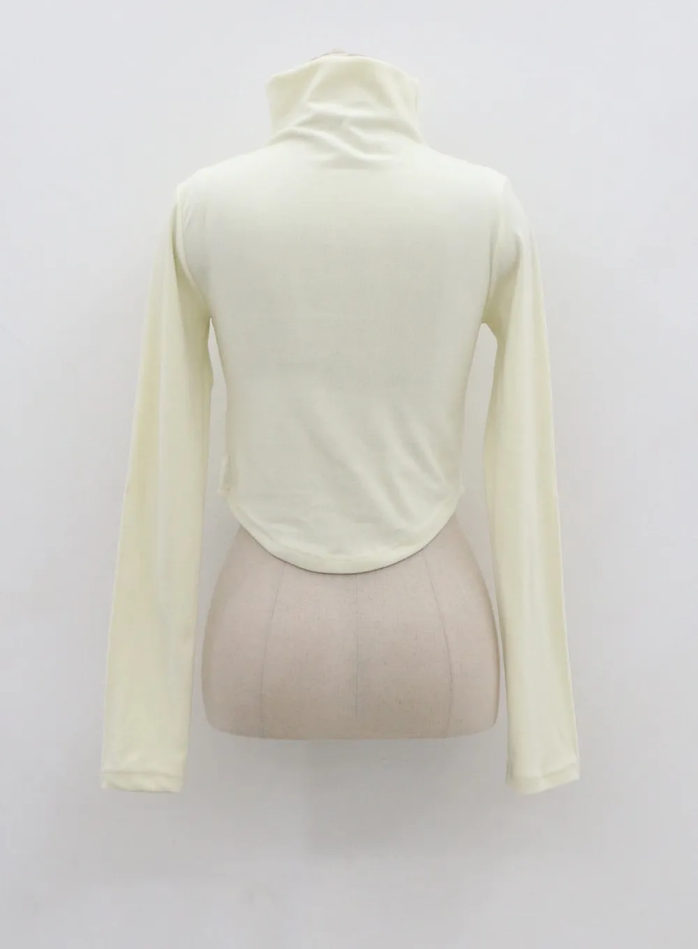 Semi Turtleneck Long Sleeves Crop Top CN17