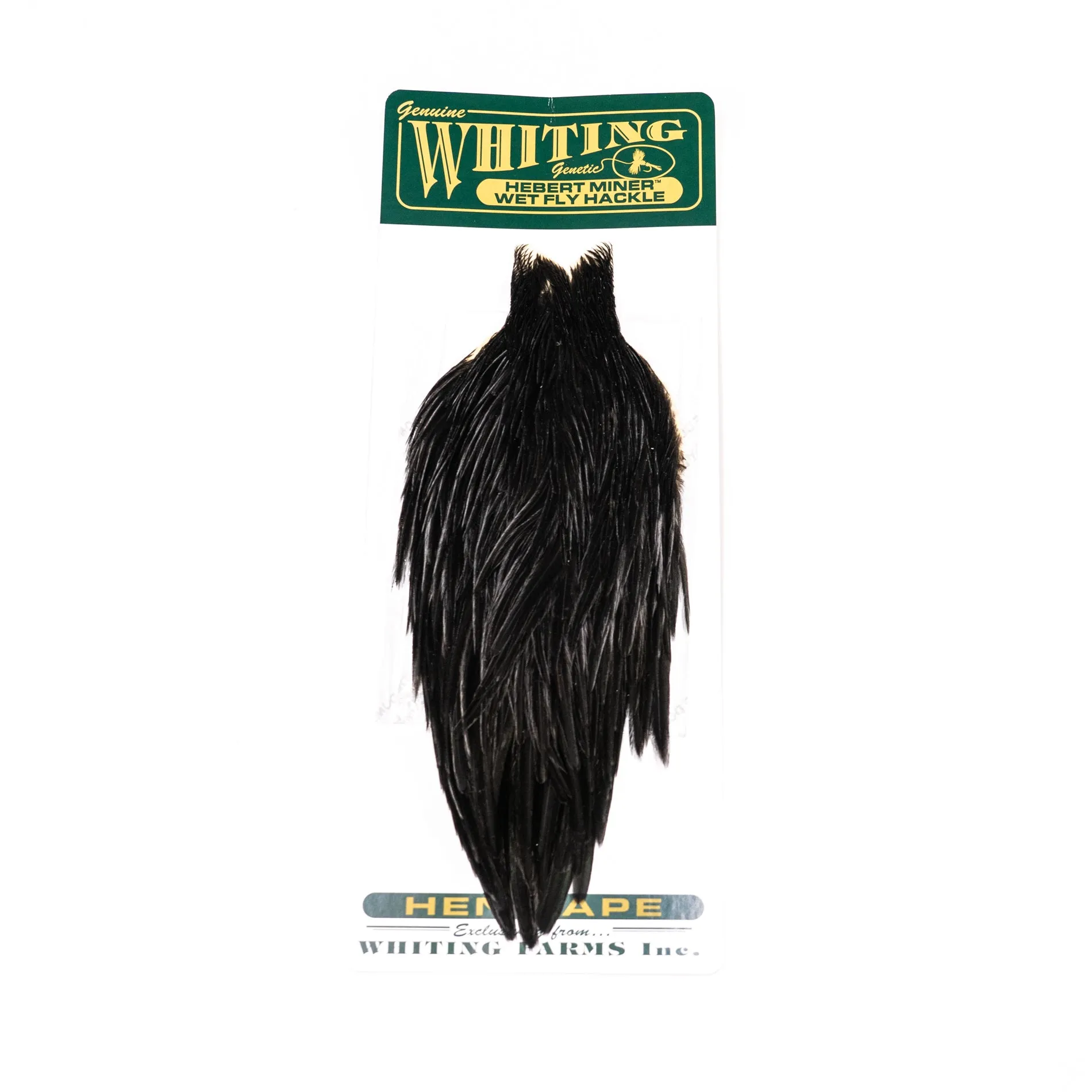 Whiting Hebert  Hen Cape