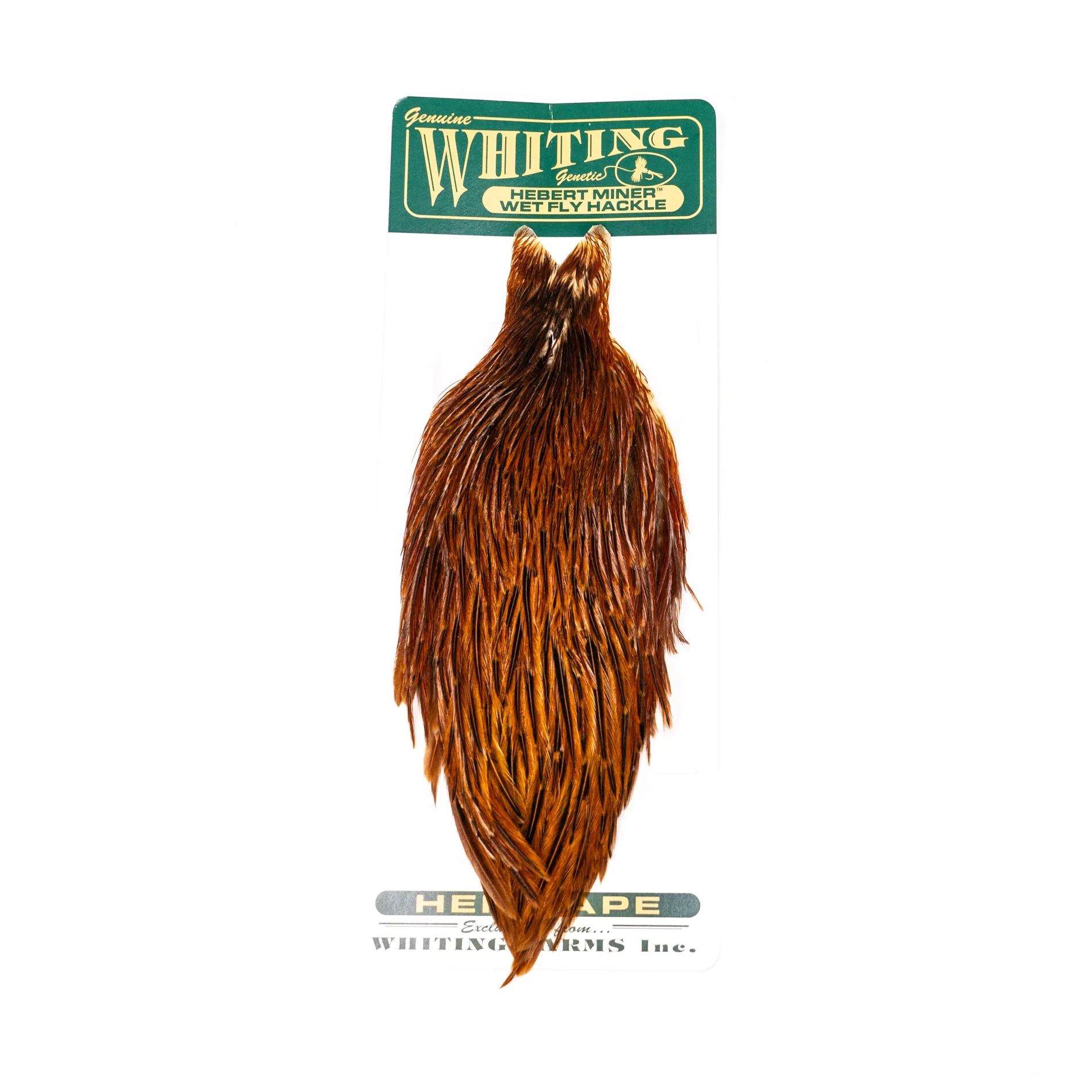 Whiting Hebert  Hen Cape