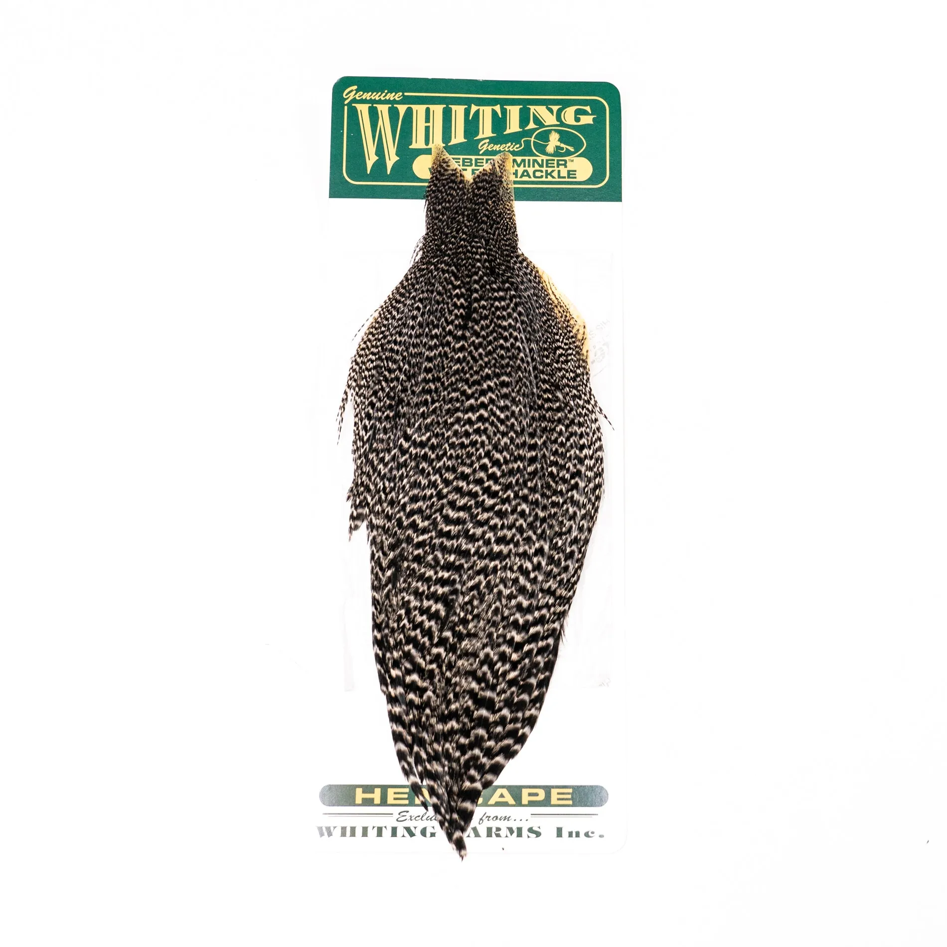 Whiting Hebert  Hen Cape